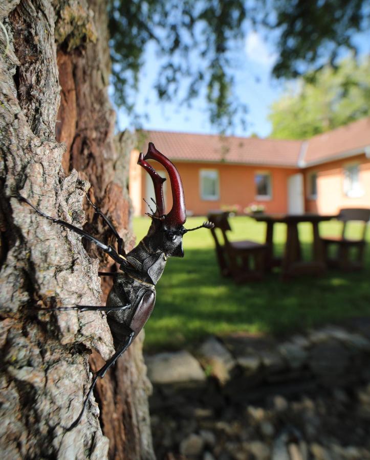 Penzion Lukov Lukov  Esterno foto